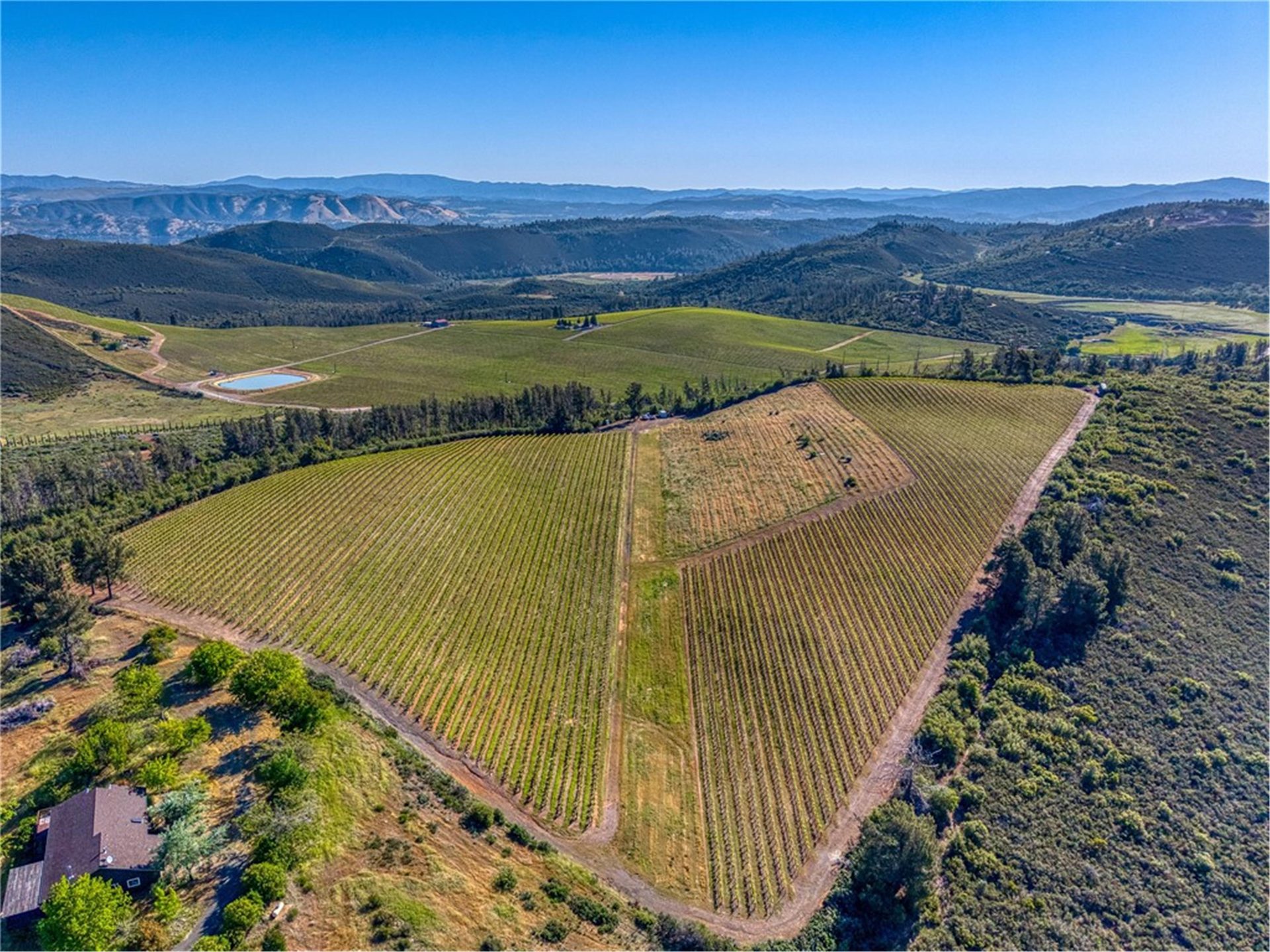 Aerial of Eden Crest vineyard with Mount Konocti backdrop
