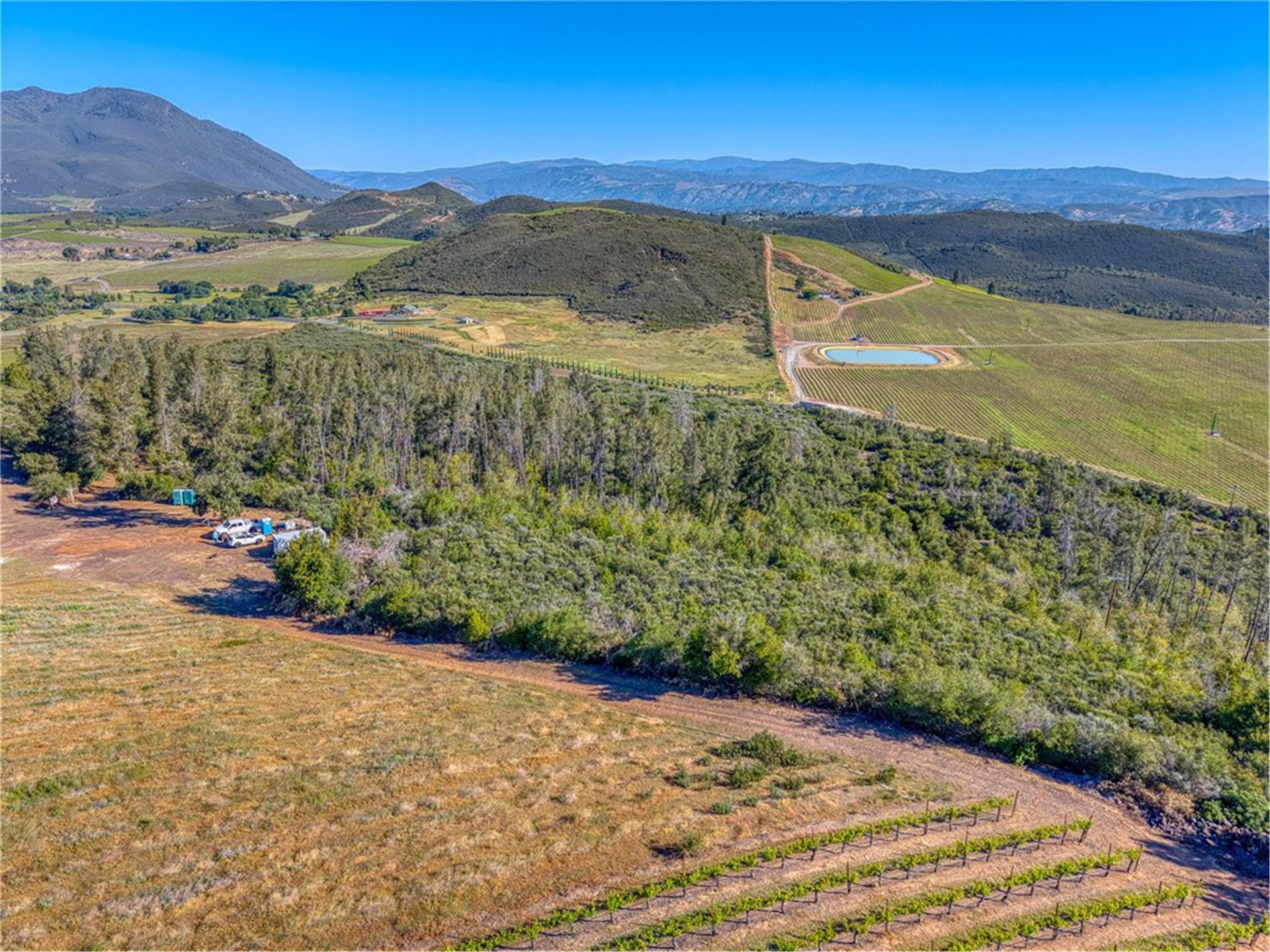 Mature Cabernet Sauvignon vines, Eden Crest