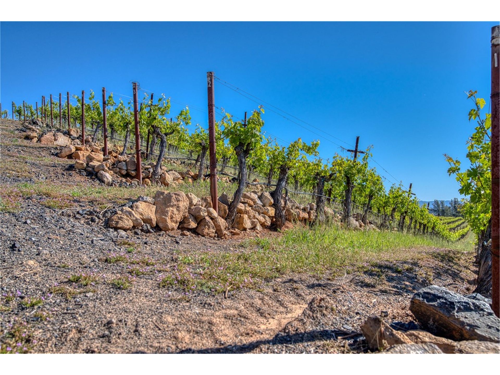 Homesite potential at top of hill